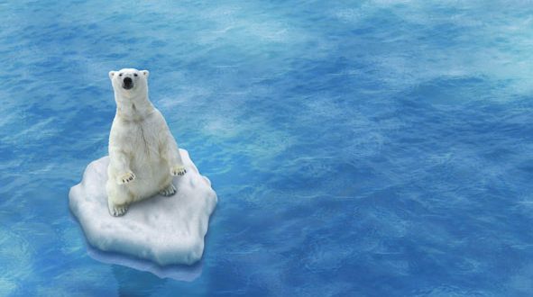 Quand le réchauffement climatique devient une idéologie ? Ours-polaire-Fotolia-591x330